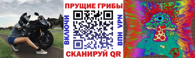 хочу   Артёмовск  Галлюциногенные грибы MAGIC MUSHROOMS 